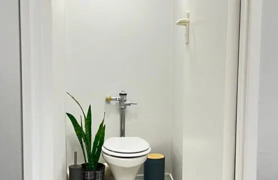 0e133700 0714 4b4f a732 171782bbf2f2.jpeg