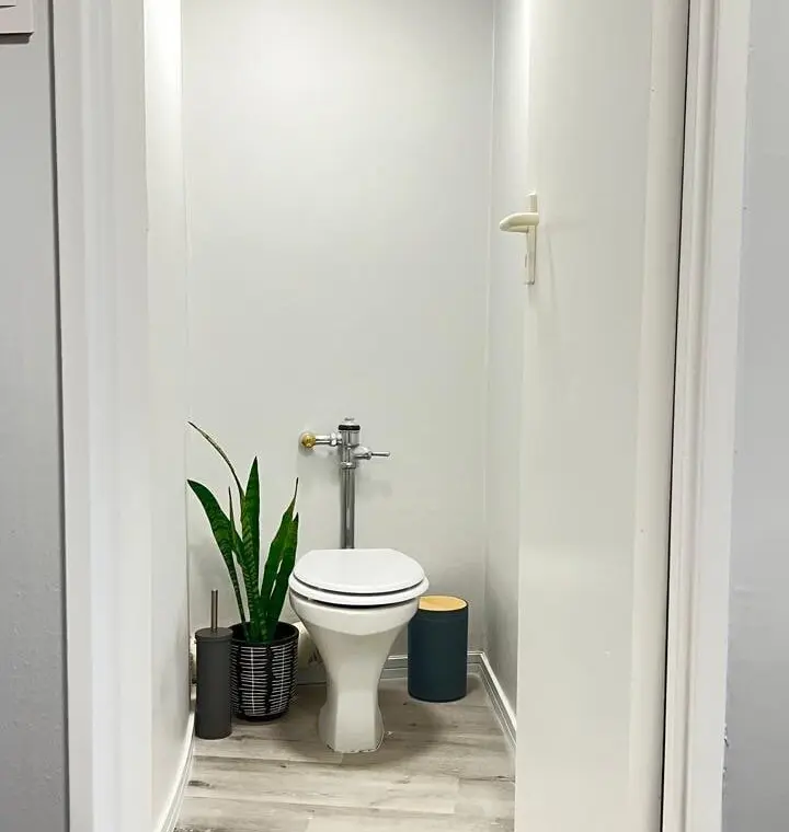 0e133700 0714 4b4f a732 171782bbf2f2.jpeg