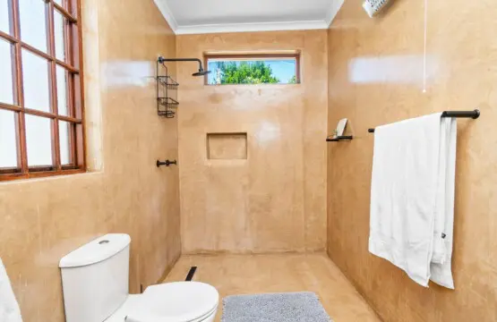 168cff08 cd41 455f a3db 6da4af156ba3.jpeg