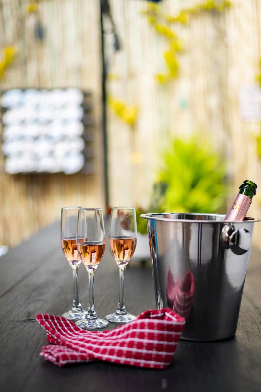 25fc8dbd 7b9e 43d3 aae1 261ee3eb5c29.jpeg