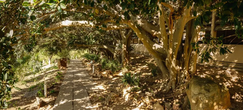 26a3329a 73c0 41f1 bb84 86e802519246.jpeg