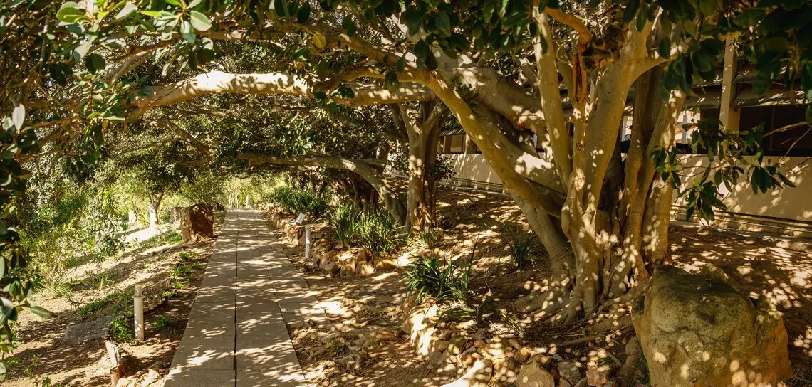 26a3329a 73c0 41f1 bb84 86e802519246.jpeg