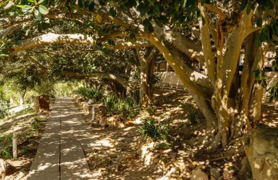 26a3329a 73c0 41f1 bb84 86e802519246.jpeg