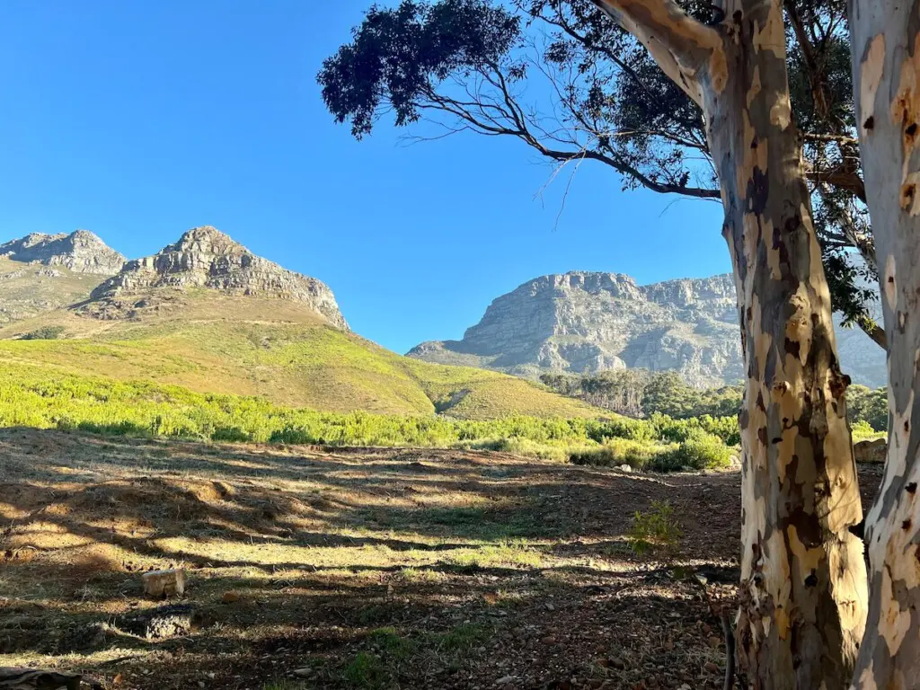 2850a0c7 af2c 4148 82ee 9a54d97acf64.jpeg