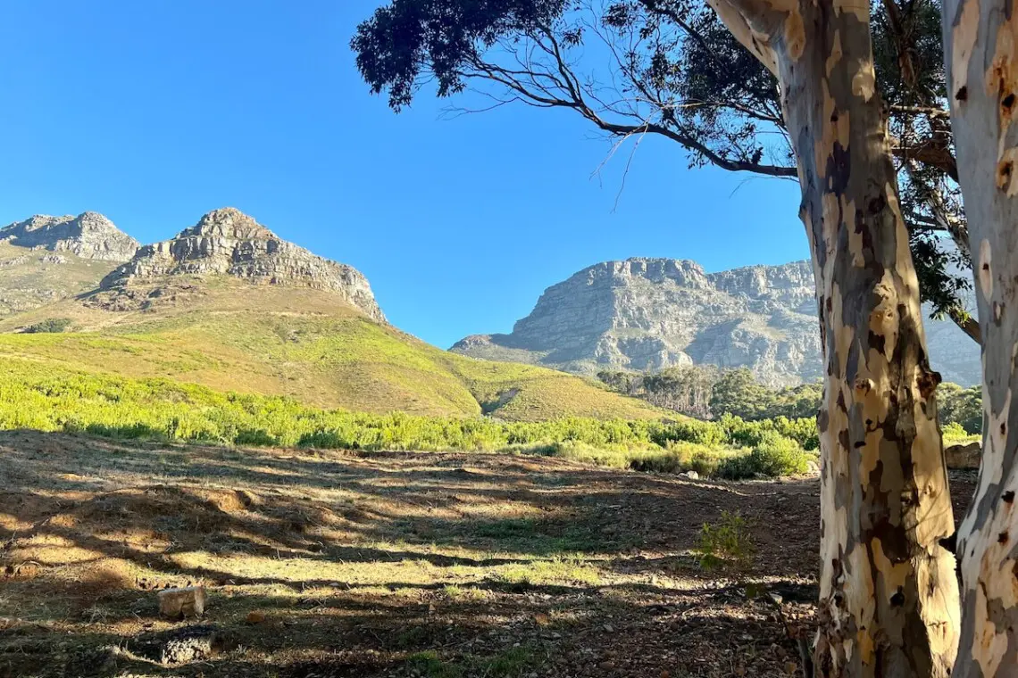 2850a0c7 af2c 4148 82ee 9a54d97acf64.jpeg