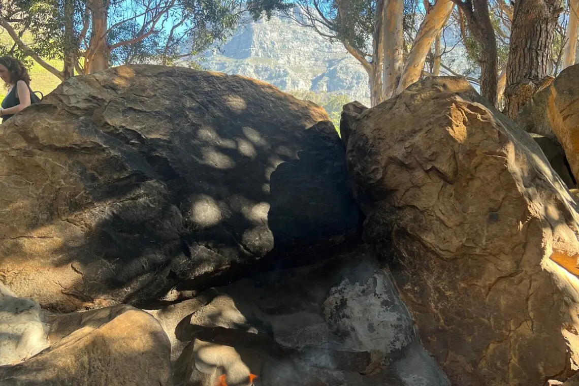 471c7698 2eba 4457 bf6e 7ac2ced6e6a9.jpeg