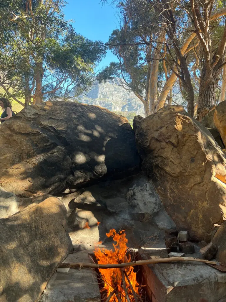 471c7698 2eba 4457 bf6e 7ac2ced6e6a9.jpeg