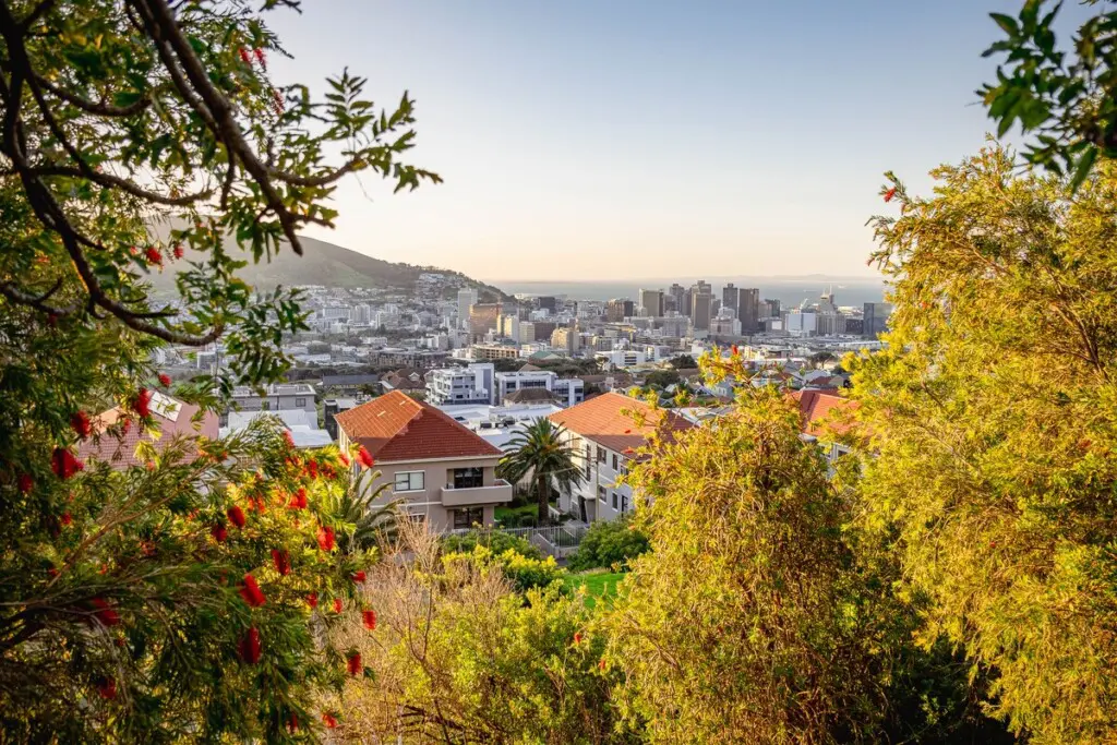 73115e5b ce03 45bd a9aa fd385ceb2e6d.jpeg