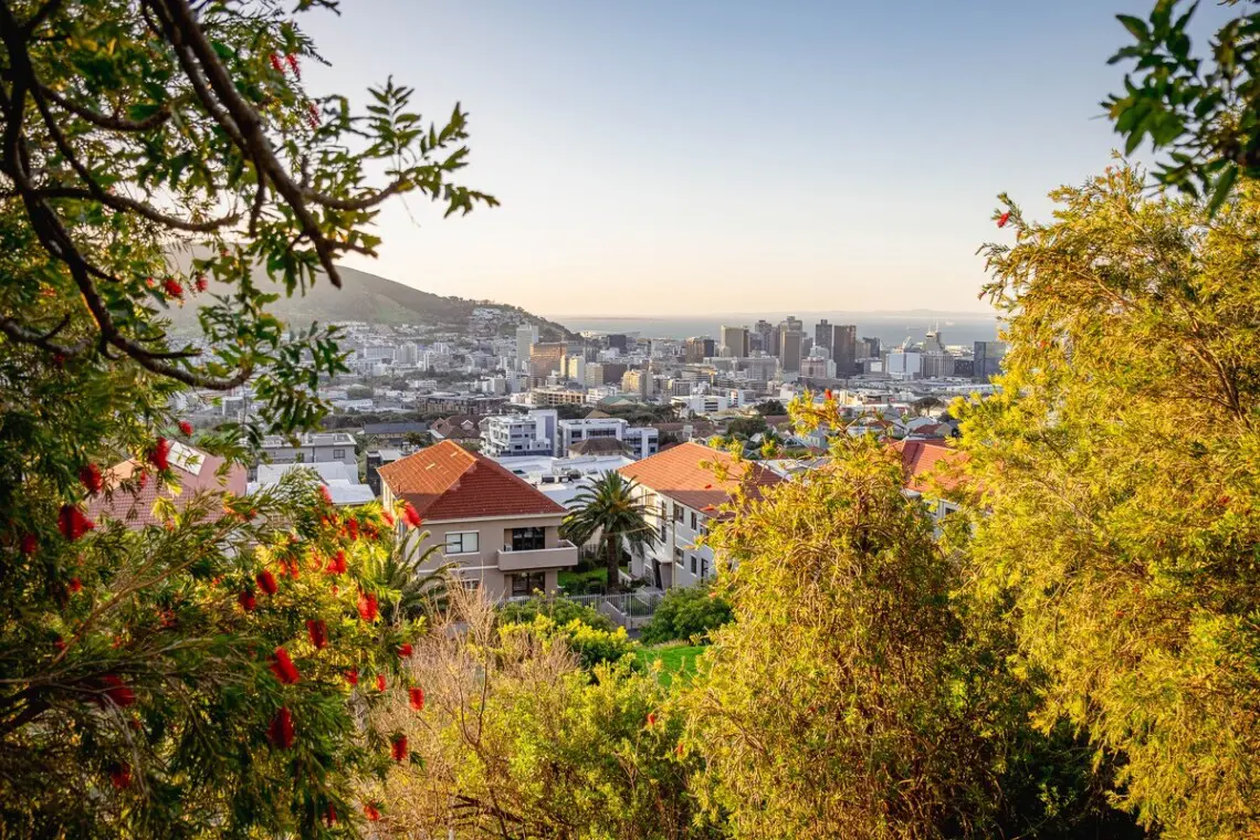 73115e5b ce03 45bd a9aa fd385ceb2e6d.jpeg