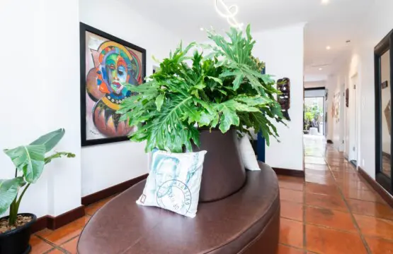 7842bad2 8bef 4acb 8a3a 34faa39b4bee.jpeg