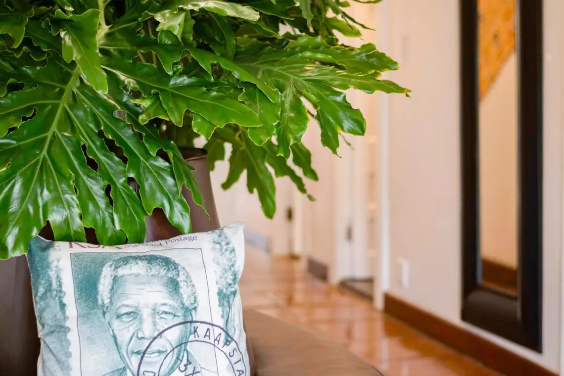 7ec79dab d968 4c8f a23e 9a39bfbb88b6.jpeg