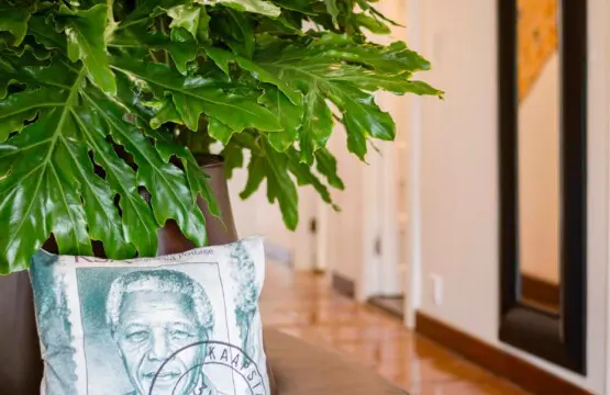 7ec79dab d968 4c8f a23e 9a39bfbb88b6.jpeg