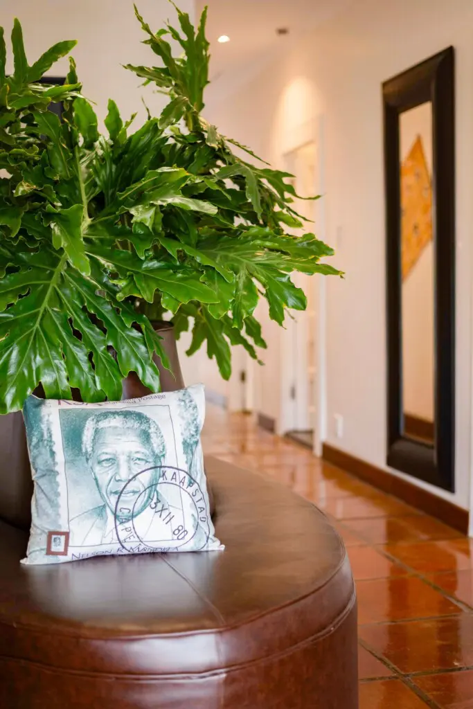 858fb200 5edd 4afc bbc2 28697c3d7f44.jpeg