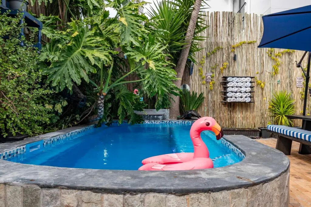 9a7a5b31 489d 47f8 a504 99b6852e8273.jpeg