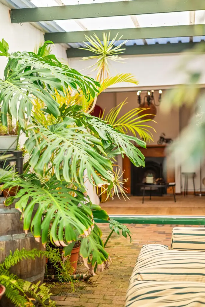 b2b58771 ae53 46f1 bf8b d50ef6e4ad9d.jpeg