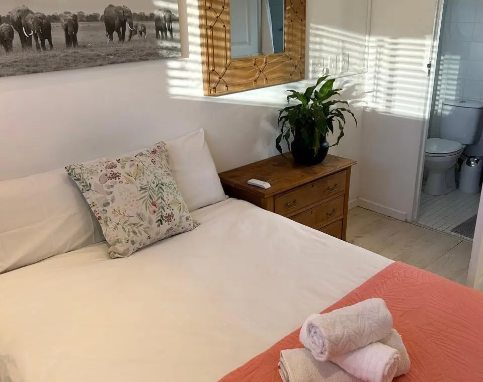 b5c5b874 cd39 4bcf 9d13 a4e0faee144a.jpeg