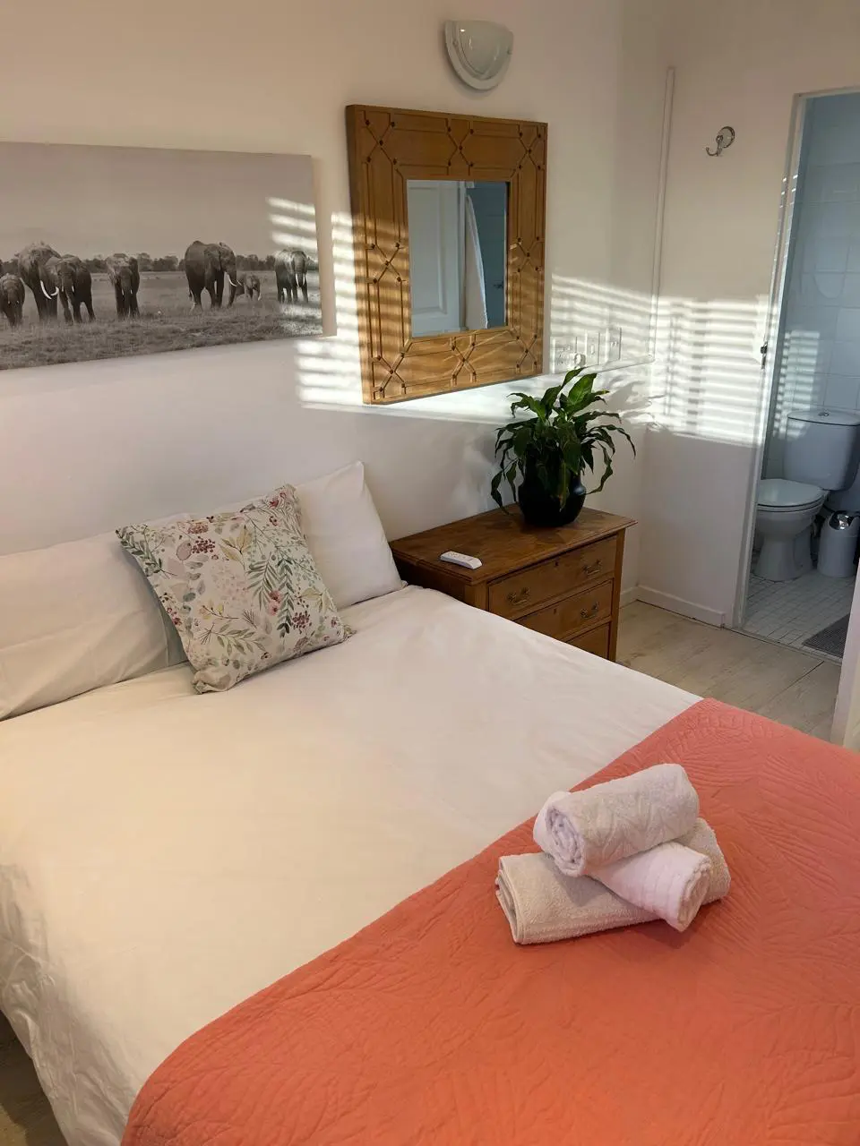 b5c5b874 cd39 4bcf 9d13 a4e0faee144a.jpeg