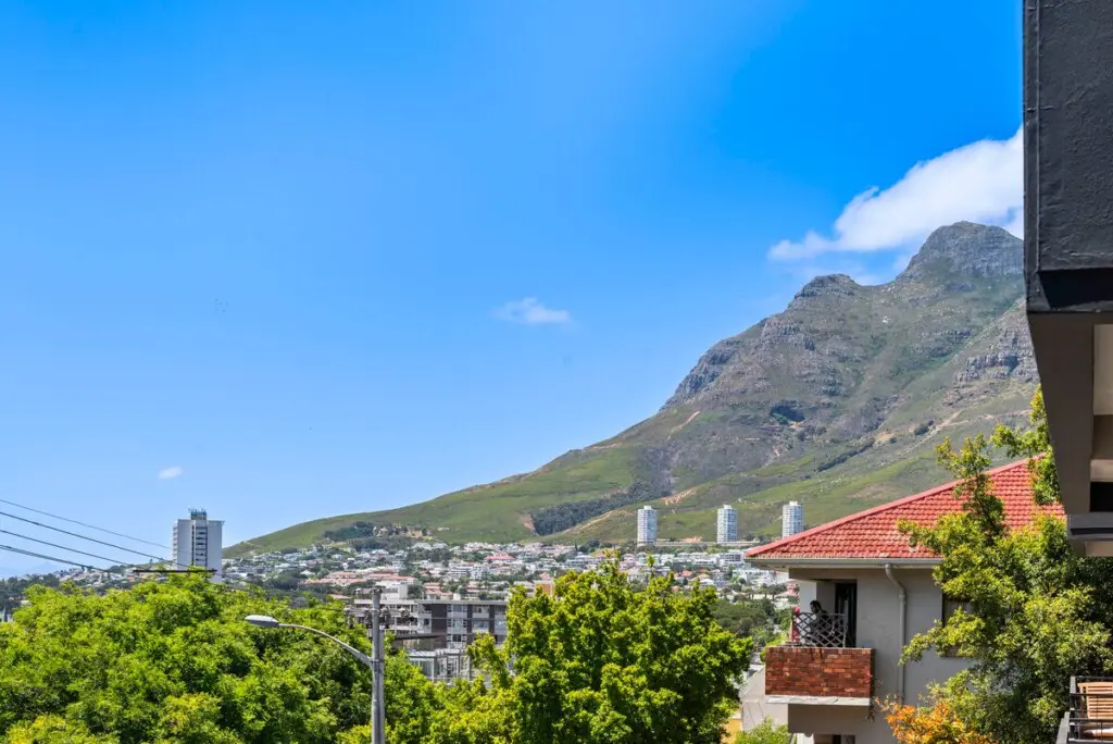 c245258c e8a1 4def a224 c0b22f512593.jpeg