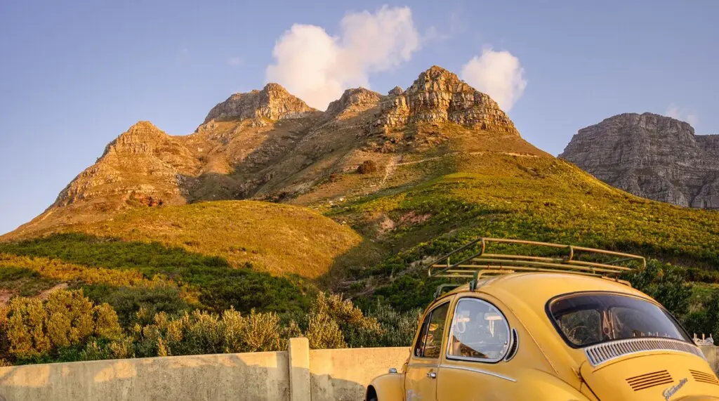 d23771fa cead 4c83 8ff4 2ac5dbb93a61.jpeg