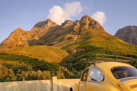 d23771fa cead 4c83 8ff4 2ac5dbb93a61.jpeg