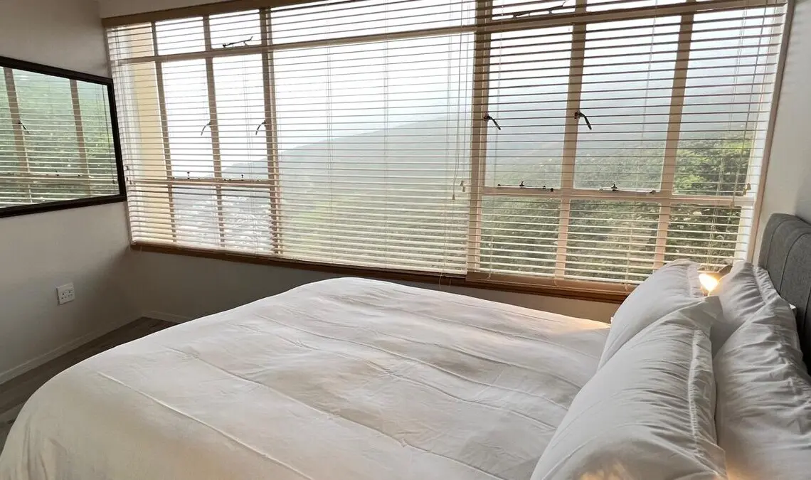 d41f6ca1 efab 4d63 b8c5 9fe2c9adb691.jpeg