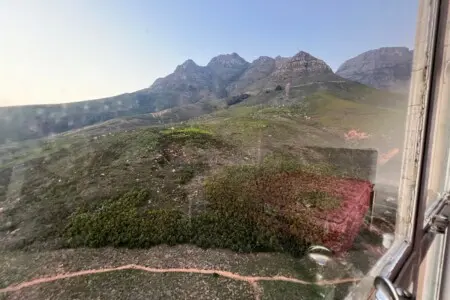 d6fb6f29 cdb1 4084 a054 0bdd678a0990.jpeg