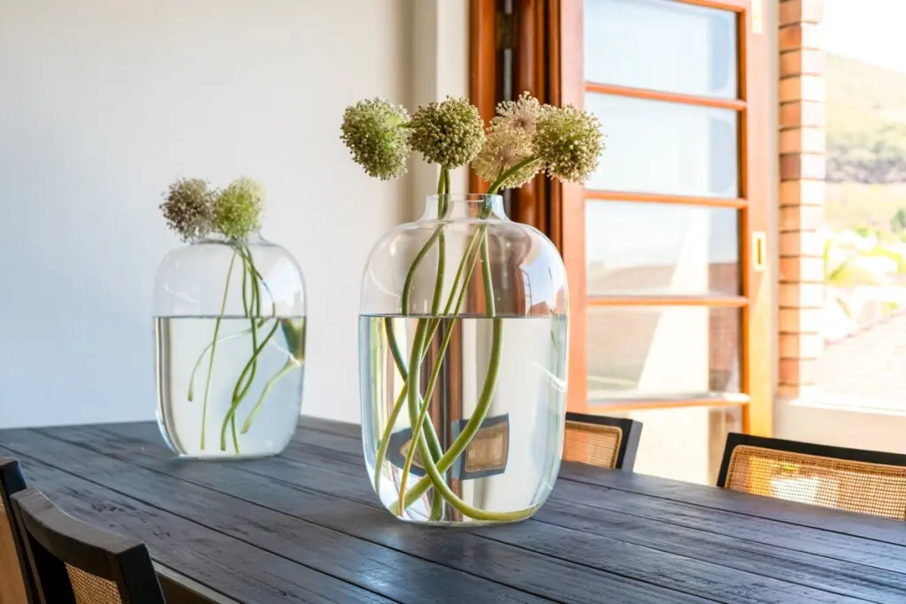 dd0883db 34d3 46f1 8685 6b9276cb4886.jpeg