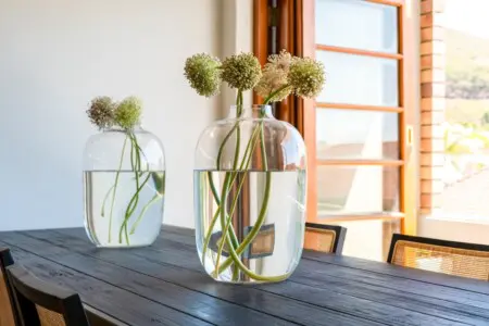 dd0883db 34d3 46f1 8685 6b9276cb4886.jpeg