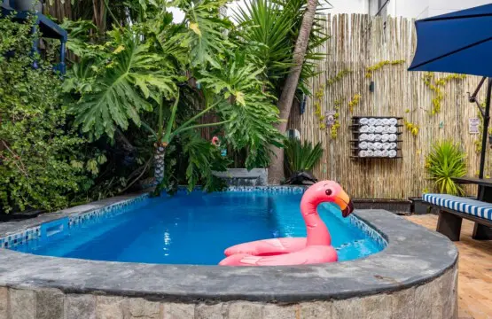 ebdb7e0a e221 4790 a680 8617f196d93d.jpeg