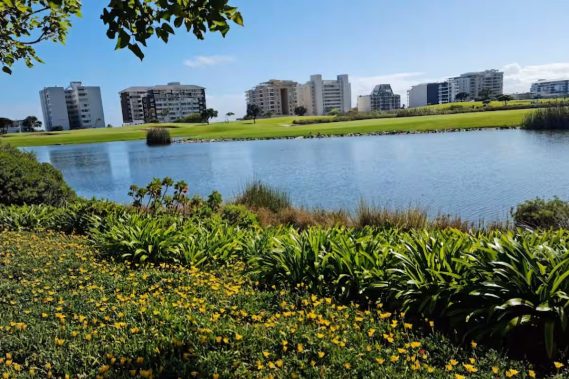 91163757 2206 4dd2 8473 ebe4155a10ba